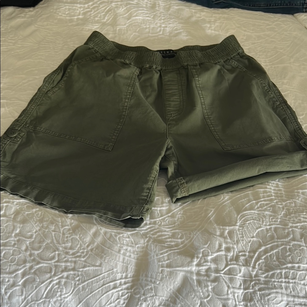Olive Green Casual Sanctuary Shorts.